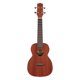 thumbnail image 2 of Ukc100 Opn Ukelele Acustico Ibanez, 2 of 3