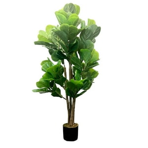 Arbusto Real - Planta Artificila Ficus Lyrata 120 Cm. / 134 Hojas Premium