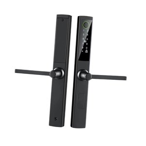 Bothyi - Cerradura De Puerta De Entrada Sin Llave, Reemplazo De Cerradura De Puerta Con Huella Dactilar Para Apartamento En Casa