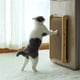 thumbnail image 1 of Rascador Vertical Para Gatos, 1 of 4