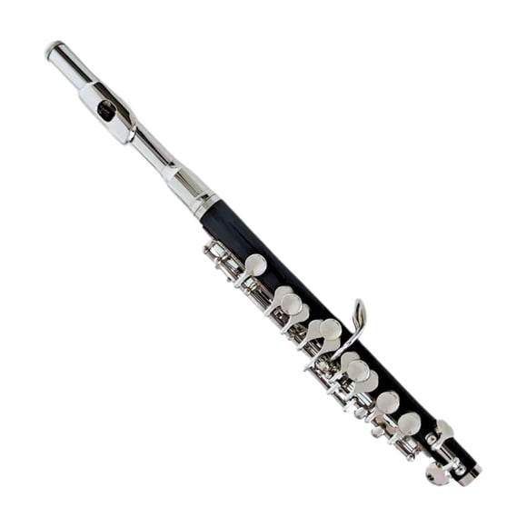 Piccolo Deloitte DPC-110 con llave en C niquelado