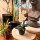 thumbnail image 3 of Planta artificial Orquidea 40 cm, 3 of 3