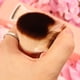 thumbnail image 2 of Brocha de maquillaje DuCare Foundation Flat Top Kabuki Synthetic, 2 of 9