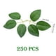 thumbnail image 2 of Hojas verdes artificiales Woohome Bulk Rose, 250 unidades, para bricolaje, 2 of 3