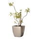 thumbnail image 1 of Macetero autorregante Ida 36, 1 of 2