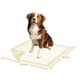 thumbnail image 2 of 30 Pañales Sabanillas Mascotas Perros 60x60cm Zooper Dog, 2 of 3