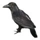 thumbnail image 1 of Artisticial Realistic Woodland Bird para Garden Weding Decoración del hogar Style01, 1 of 5