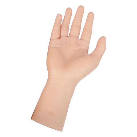 Ioensy - Piel Falsa De Tamaño Natural De Mano De Práctica De Silicona Para Entrenar Artistas De Exhibición