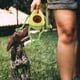 thumbnail image 3 of Juguete Peluche Para Perros Chillos Con Cuerda Mascotas Diseño Palta, 3 of 3