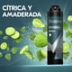 thumbnail image 5 of Desodorante Aerosol Rexona Men Invisible Hombre, 150 ml, 5 of 5