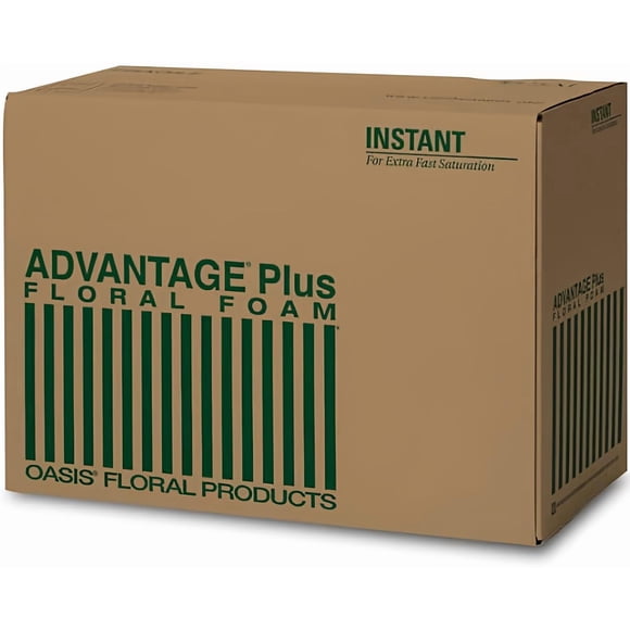 Bloques de espuma florales smither oasis Oasis Advantage Plus (48)