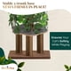 thumbnail image 3 of Árbol para gatos PRIORPET con hojas, 63 cm de altura, 4 niveles para rascar, 3 of 9