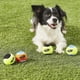 thumbnail image 2 of Pelota de tenis para perros Nerf Dog con chirriador interactivo, 4 unidades, 2 of 3