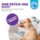thumbnail image 3 of Juguete masticable para perros Outward Hound Foodies, zanahoria, fresa, rosa, 3 of 7