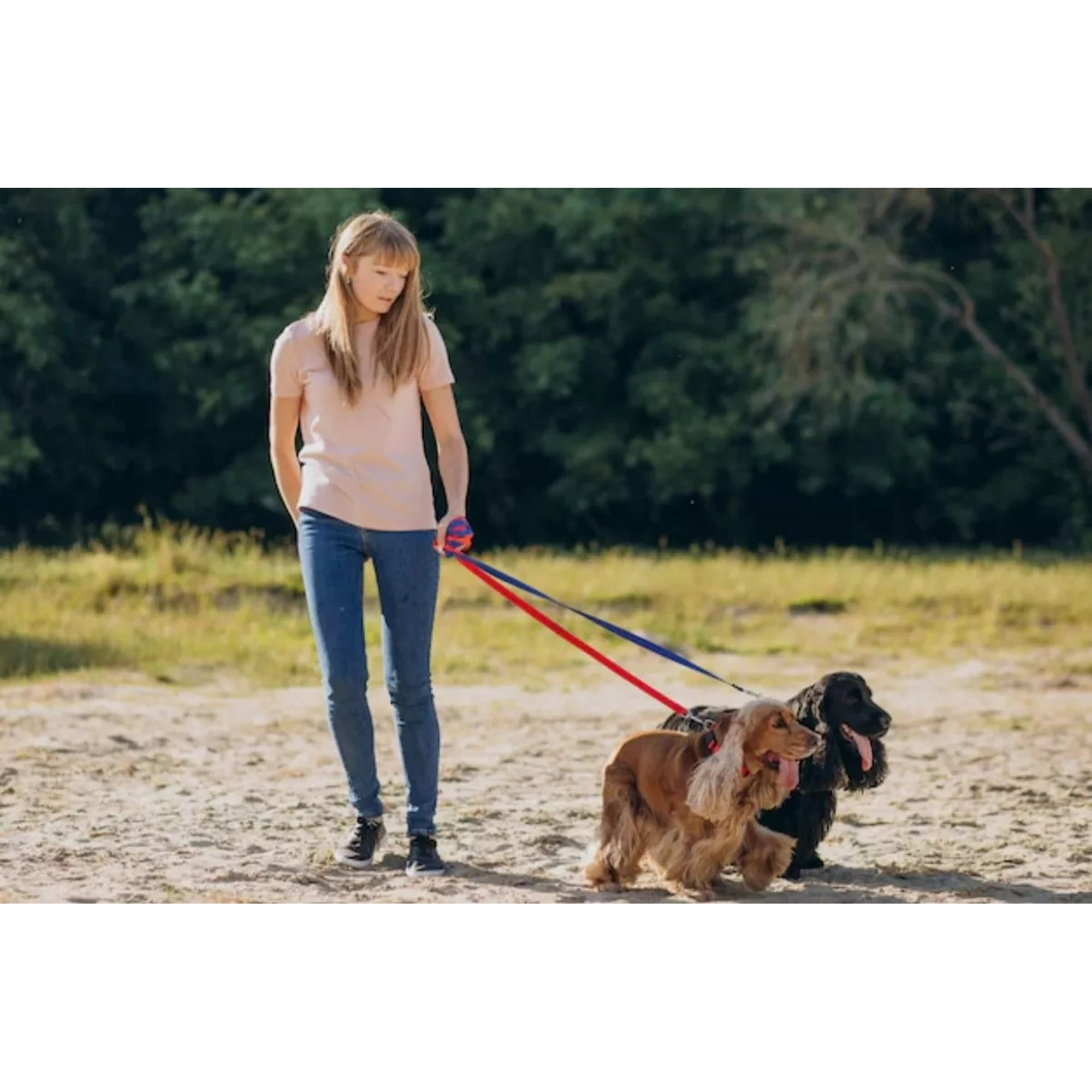 Defensor - Correa Plana Larga Resistente Para Perros 4,5 Metros X 2,5cm Color Naranjo/celests