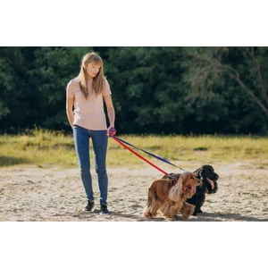Defensor - Correa Plana Larga Resistente Para Perros 4,5 Metros X 2,5Cm Color Naranjo/Celests