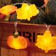 thumbnail image 5 of Luces de cadena LOLStar 3 m 20 LED Naranjas para decoración de otoño, 5 of 8