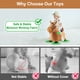 thumbnail image 4 of Hopping Horse iPlay iLearn Bouncy Pals Brown durante 18 a 36 meses, 4 of 7
