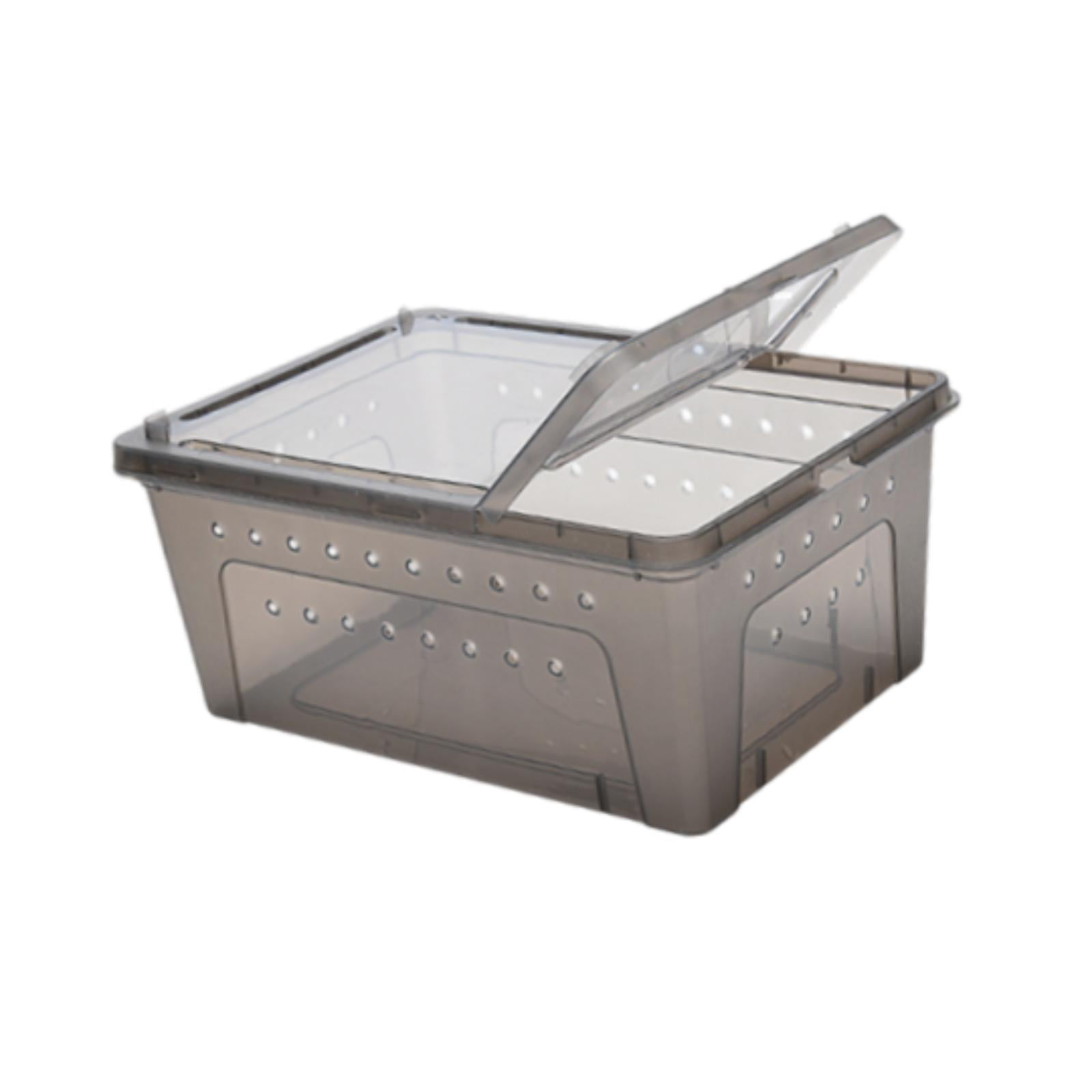 Caja De Alimentación Para Reptiles, Jaula Ligera Para Animales, Hábitat Para Ranas, Gecos Y Escorpiones, Color Negro