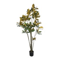 Corel - Árbol Magnolia Denudata 180Cm Artificial