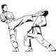 thumbnail image 1 of Decomural Judo Karate Martial Arts WS-17493, 1 of 2