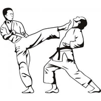 Rienda Libre Graphics - Decomural Judo Karate Martial Arts Ws-17493