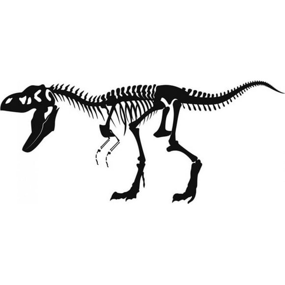 Decomural T-rex Skeleton Fossil Dinosaur WS-17598