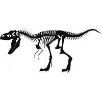 Rienda Libre Graphics - Decomural T-Rex Skeleton Fossil Dinosaur Ws-17598