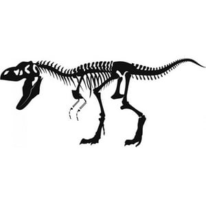 Rienda Libre Graphics - Decomural T-Rex Skeleton Fossil Dinosaur Ws-17598