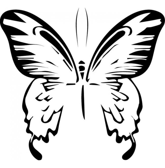Rienda Libre Graphics - Decomural Sketch Butterfly Butterflies Ws-32557