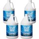 thumbnail image 1 of Botella Cleaner Simple Green Extreme Aircraft de 3,78 L, 4 cajas, 1 of 1