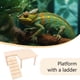 thumbnail image 3 of Reptiles Hideout Madera con Rampa de Escalada Dragon Bearded Hide Cueva Madera Acuarios y Terrarios Accesorios (tamaño grande en forma de L), 3 of 3