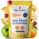 thumbnail image 1 of Gomitas TrueSeaMoss 160g Sea Moss Bladderwrack Burdock Multisabor, 1 of 3