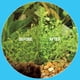thumbnail image 4 of Limpiador de Acuario MICROBE-LIFT 473 ml para Grava y Sustrato, 4 of 6