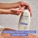 thumbnail image 3 of Loción corporal Aveeno Stress Relief Hidratante 540 ml (paquete de 3), 3 of 3