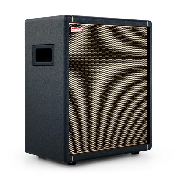 Amplificador eléctrico para guitarra y altavoz Positive Grid Spark CAB