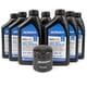 thumbnail image 1 of Kit De Cambio De Aceite Acdelco Dexosd 0w 20 Lm2 3 0l, 1 of 8