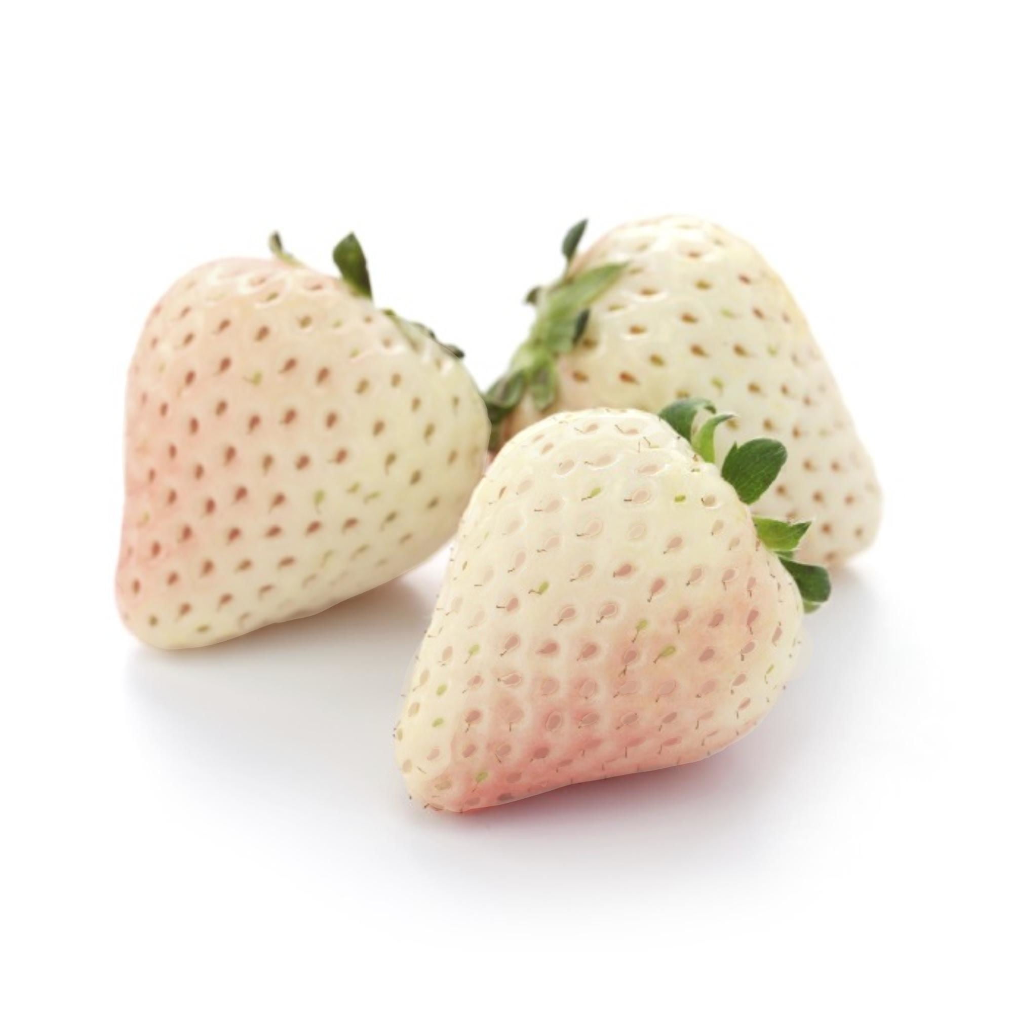 Frutilla Blanca Pote 200 g