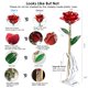 thumbnail image 3 of Eternal Rose Sinvitron, bañado en oro, preservado en resina, 3 of 9