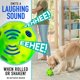 thumbnail image 3 of Juguete interactivo para perros Franklin Ready Set Fetch! ¡Pelota, 3 of 6