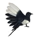 thumbnail image 2 of -Pájaro de simulación, modelo de plumas artificiales, figuras decorativas de pájaros para el hogar, fotografía, utilería, patio, decoración del hogar. Alas extendidas de 18 cm., 2 of 5