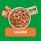 thumbnail image 2 of Sobres de Alimento Húmedo Dog Chow Minis y Pequeños Salmón 15 un., 2 of 8