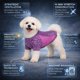 thumbnail image 2 of Playera para perro Pet Life Active Warf-Speed ultraelástica, 2 of 9