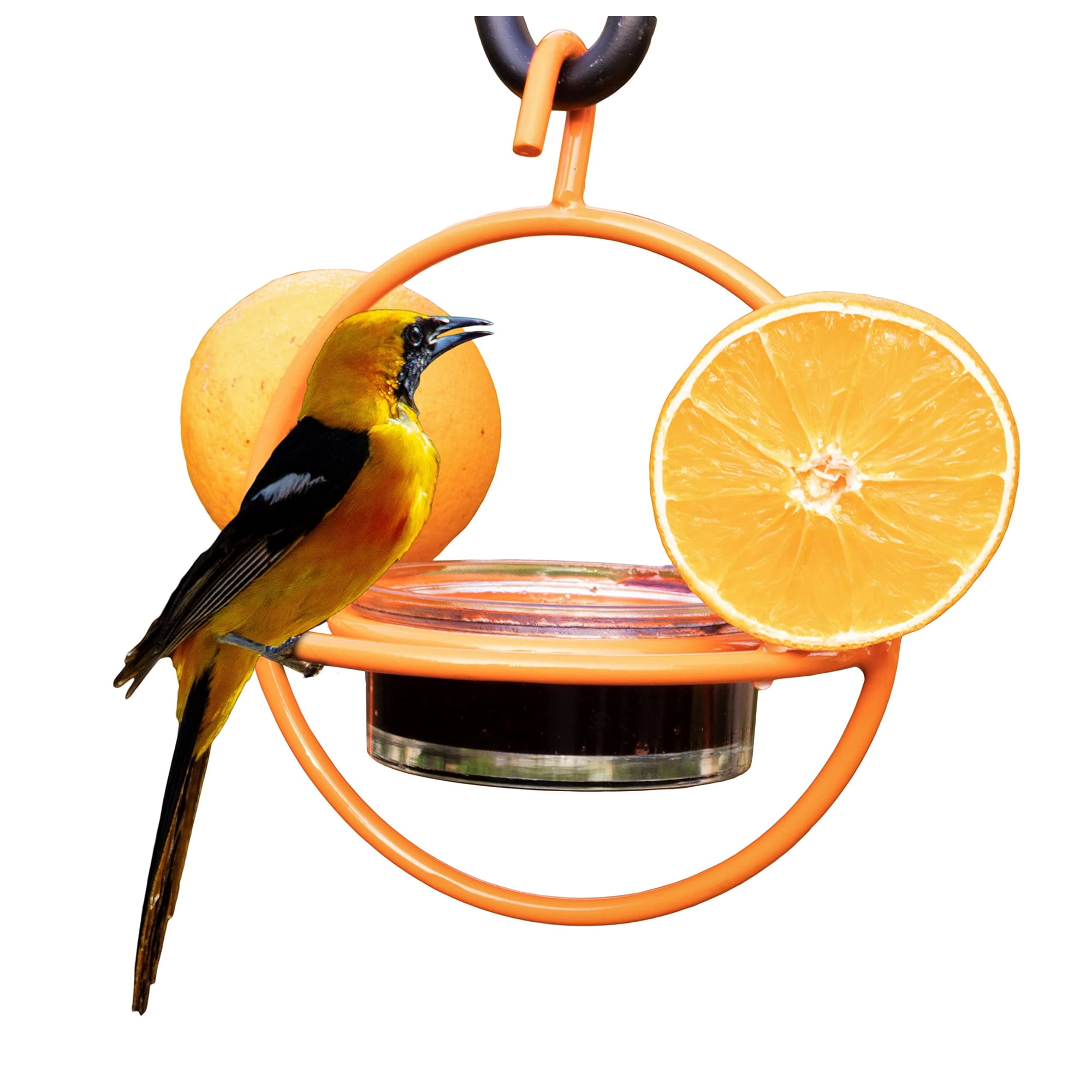 Comedero Colgante para Pájaros Oriole Monarch Abode