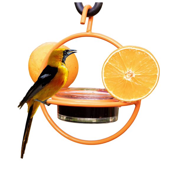 Comedero Colgante para Pájaros Oriole Monarch Abode