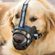 thumbnail image 1 of Dog Muzzles Adjustable Breathable Biting Chewing Barking Training Dog Mask For Small Medium Large Dogs, Safety Mouth Dog Muzzle For Small Medium Large Dogs, 1 of 3