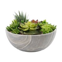 Green Element - Suculenta En Macetero Redondo 24 Cm