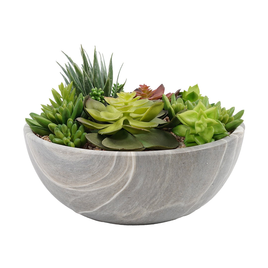 Green Element - Suculenta En Macetero Redondo 24 Cm