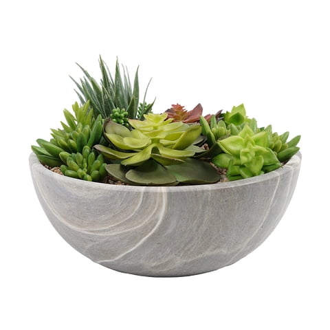 Green Element - Suculenta En Macetero Redondo 24 Cm