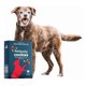 thumbnail image 2 of Pet Family Cookies para Perros 60 gr, 2 of 2